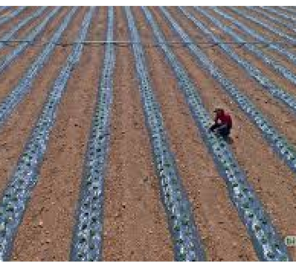 Sin Tar�m Makinalar�