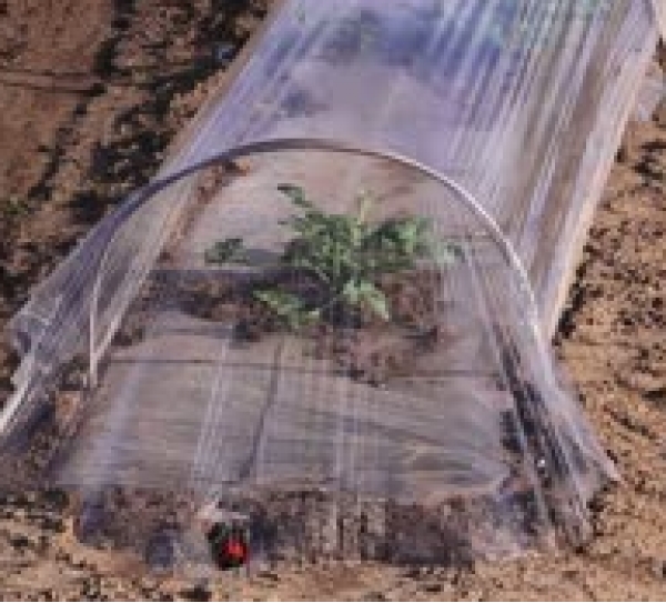 Sin Tar�m Makinalar�