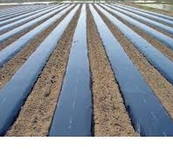 Sin Tar�m Makinalar�